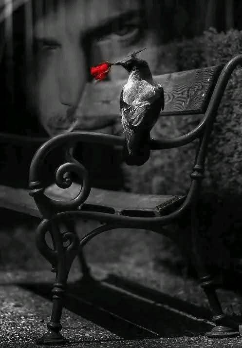 لا أحد يبوح بكل مايؤلمه.. فبعض الكتمان كرامة.. 🖤🥀