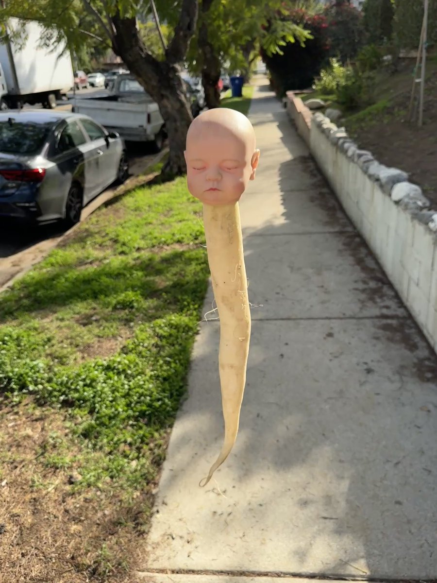 Daniel Hentschel tweet media