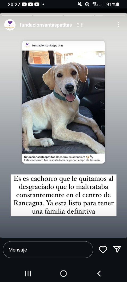 Katherin8782818's tweet photo. #Rancagua Rt urgente https://t.co/1eGwvbhMFV