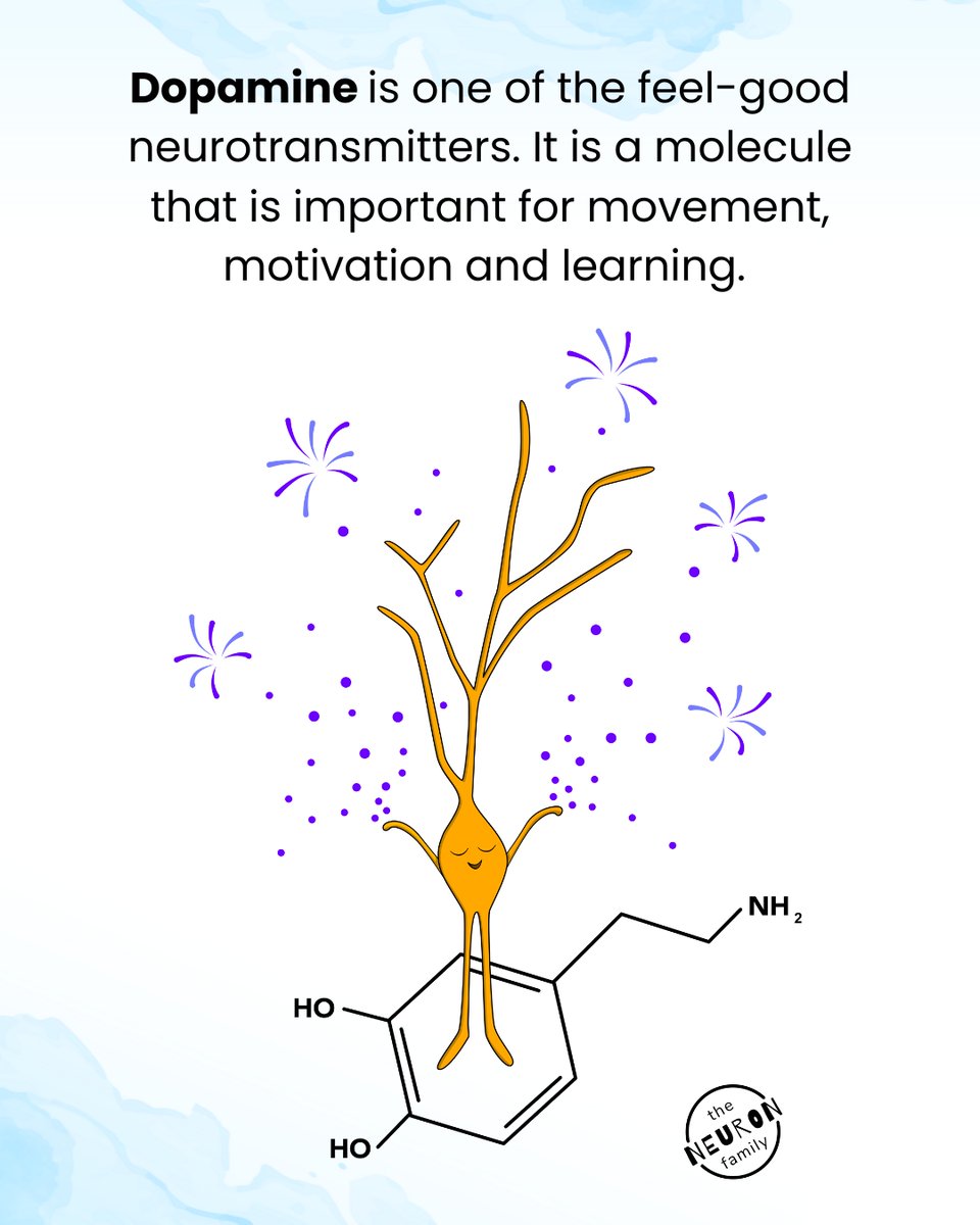 Dopamine neuron 🎊🥳