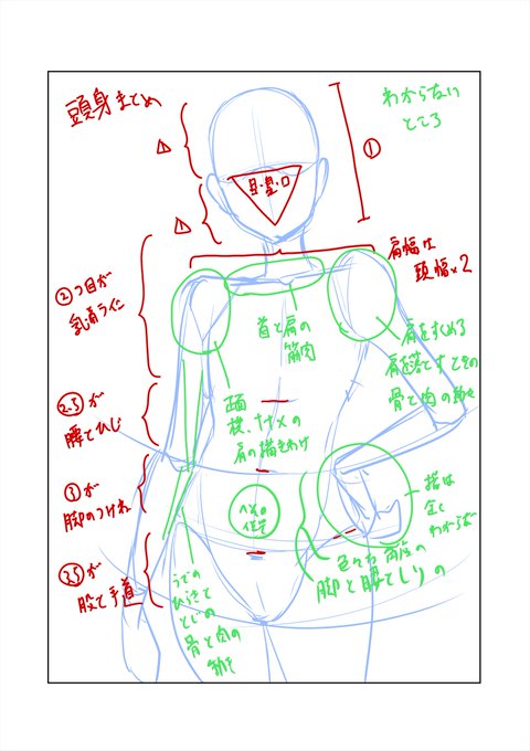 一旦、自分のスキルと課題を棚卸し【素体編】
できること:寸法や比率は抑えている
課題:肉の付き方、骨の動き全般の知識がない
圧縮などポージングの前に、ぼっ立ちの上半身(股まで)をきちんと書けるようになること 