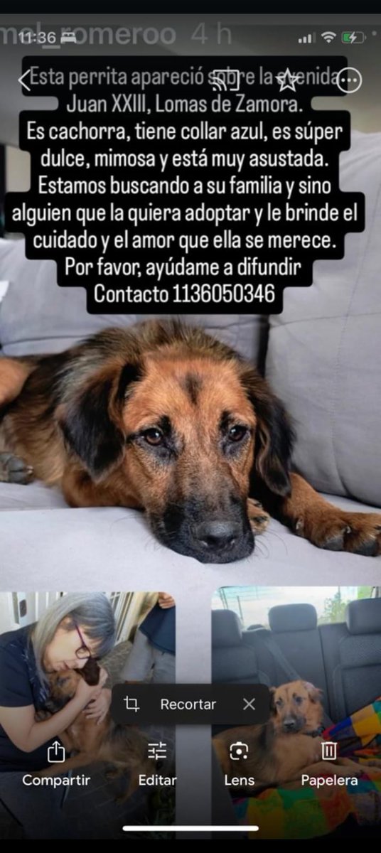 Difundimos