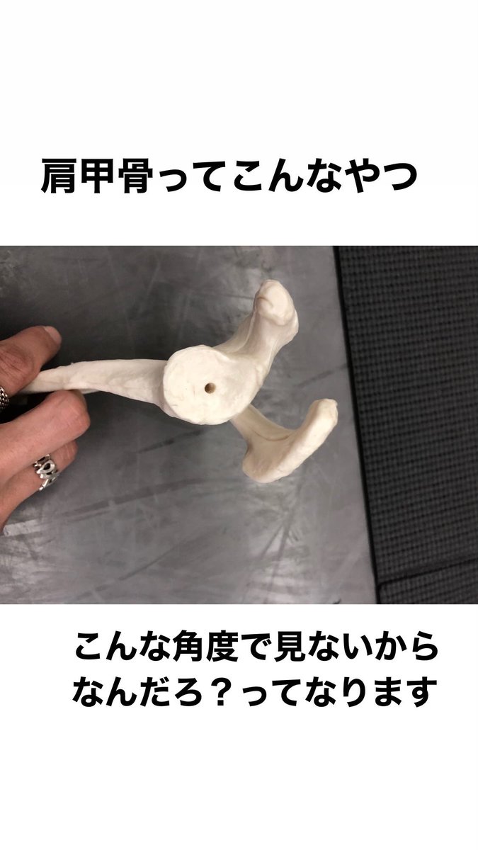 maisonbackst's tweet photo. https://t.co/IPxCgHgdgG
