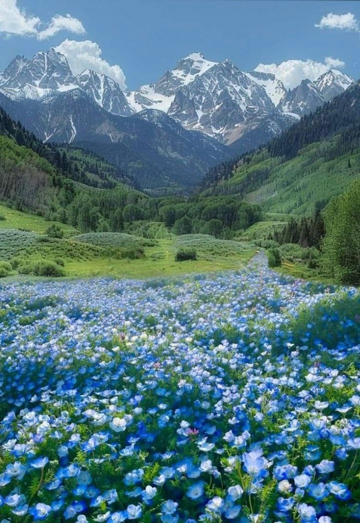 Ted🌲 (@punishedforest) on Twitter photo 