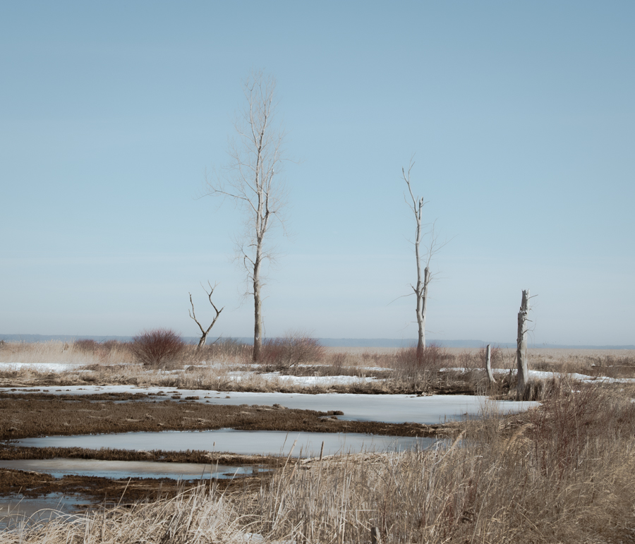 Nowhere Ontario tweet media