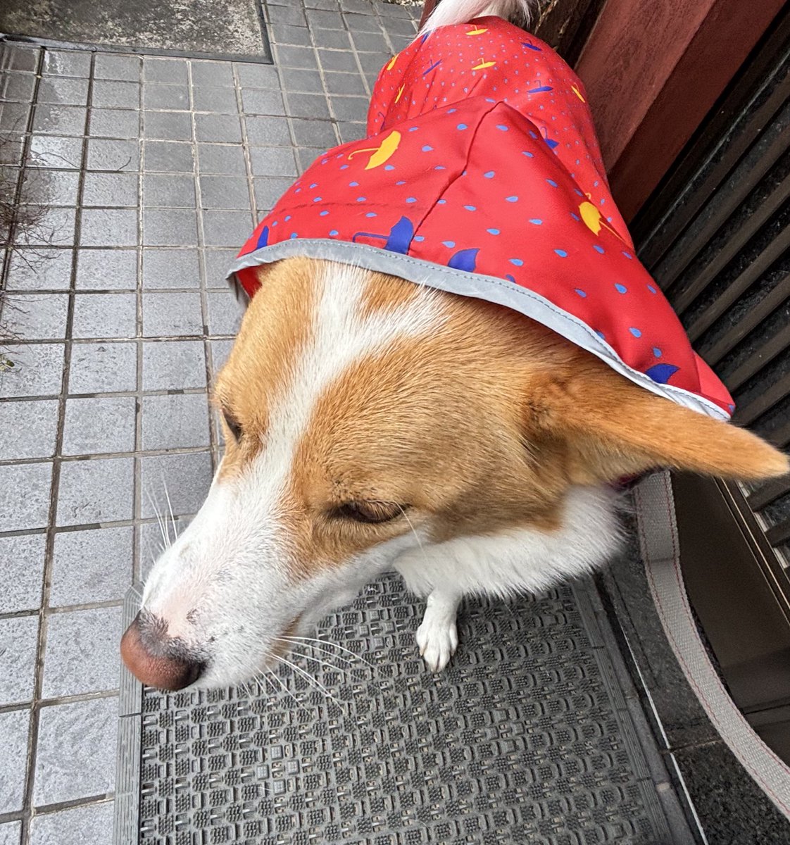 inullnuit (@inullnuit) on Twitter photo 