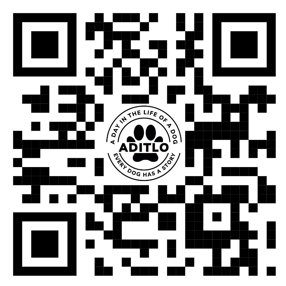 AditloDogs (@aditlodogs) on Twitter photo 