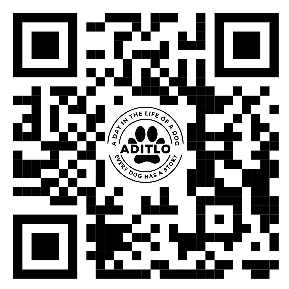 AditloDogs (@aditlodogs) on Twitter photo 