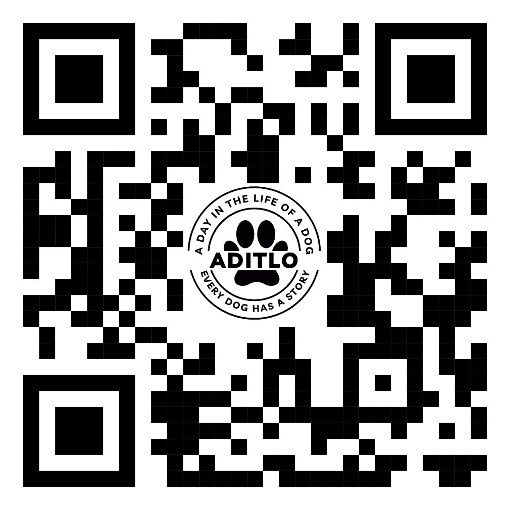 AditloDogs (@aditlodogs) on Twitter photo 