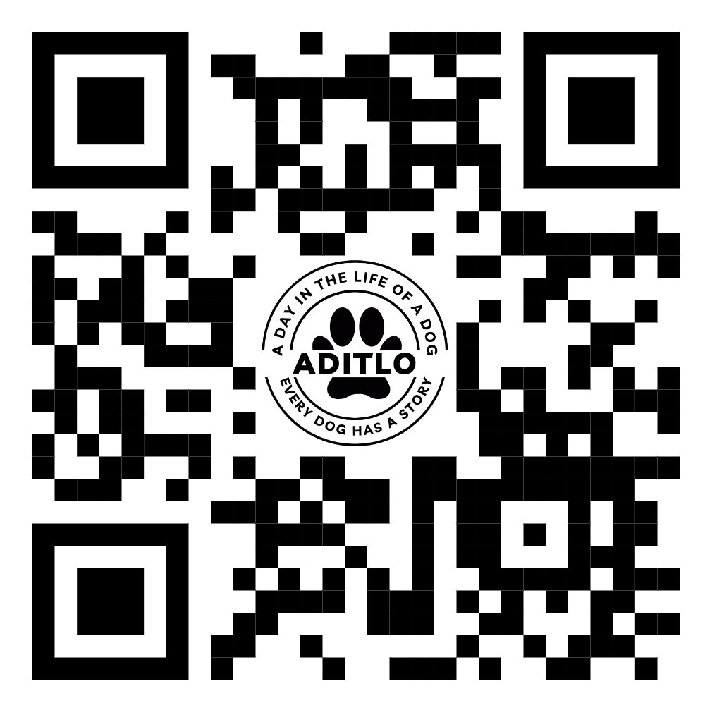 AditloDogs (@aditlodogs) on Twitter photo 