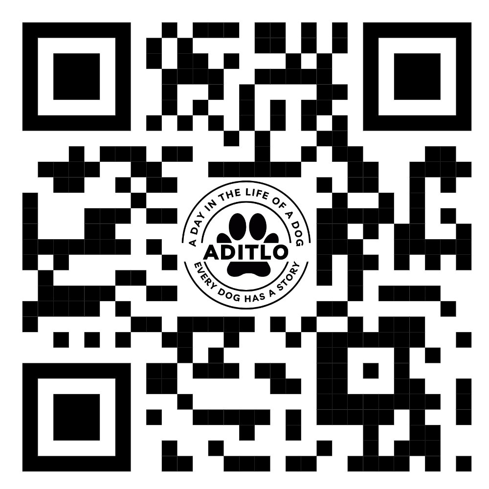 AditloDogs (@aditlodogs) on Twitter photo 