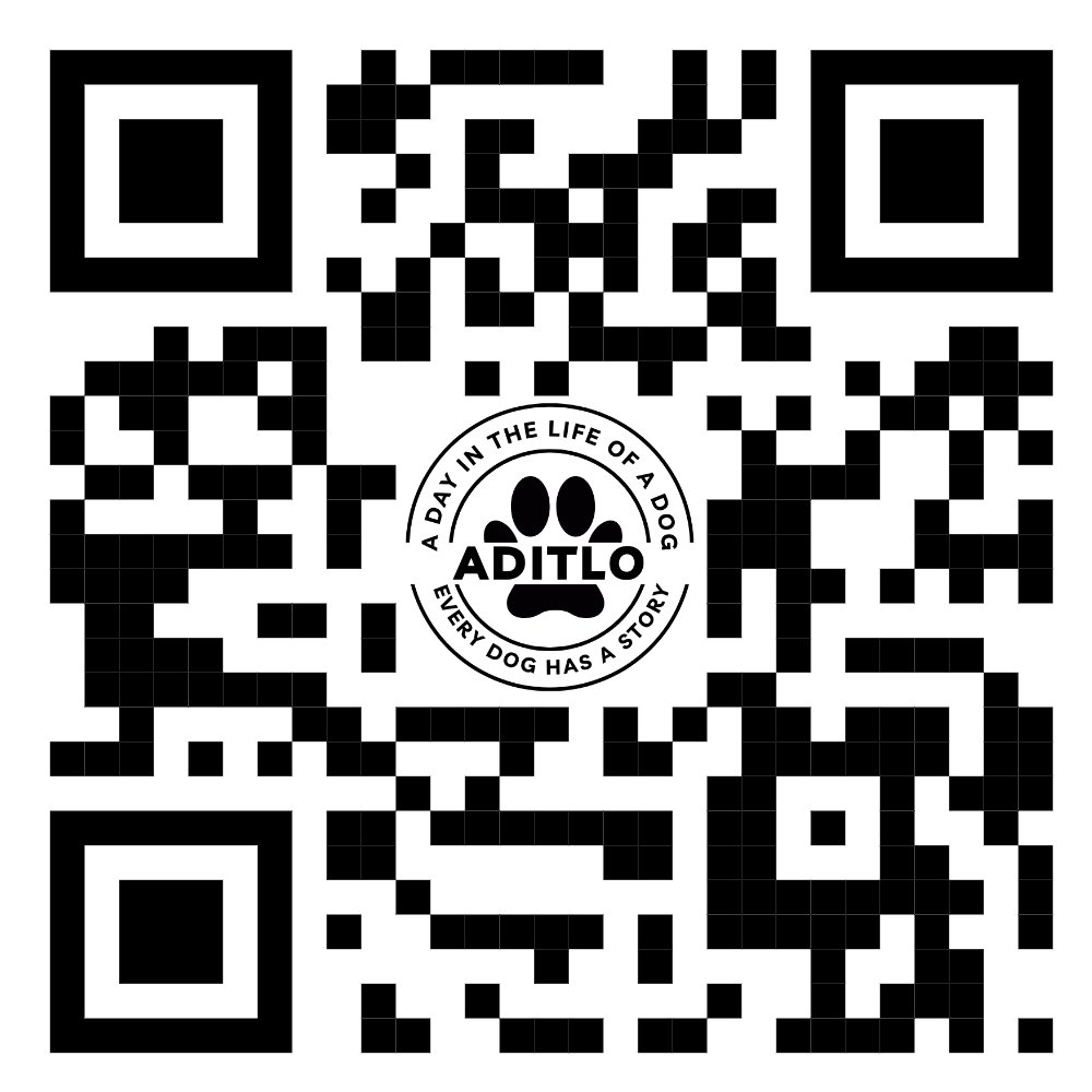 AditloDogs (@aditlodogs) on Twitter photo 