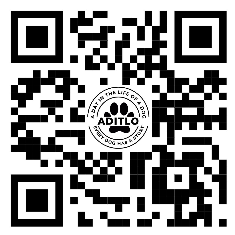 AditloDogs (@aditlodogs) on Twitter photo 