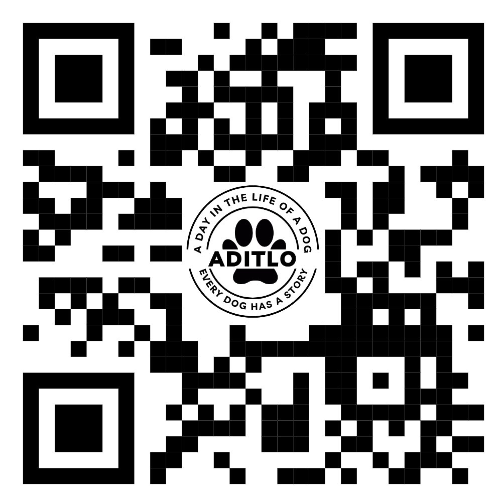 AditloDogs (@aditlodogs) on Twitter photo 