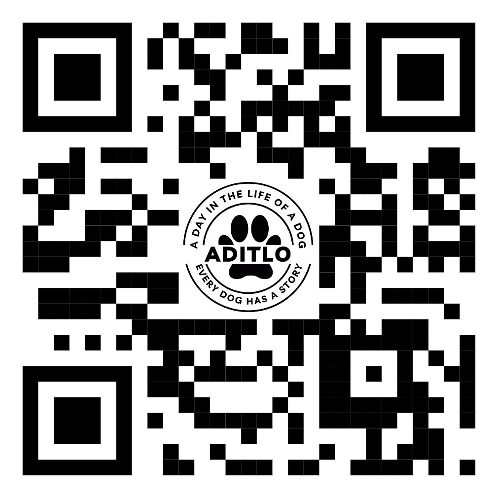 AditloDogs (@aditlodogs) on Twitter photo 