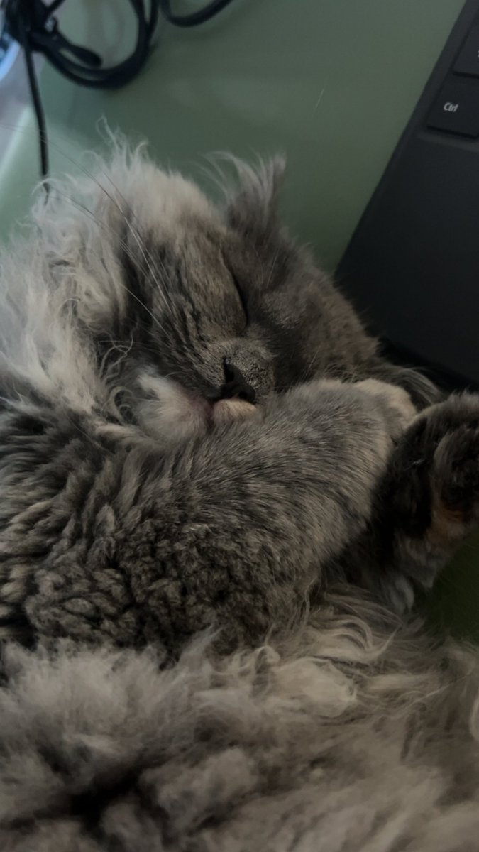 canadadream_'s tweet photo. @Alxeuuu 🥰 https://t.co/Yv2gTrSzWB