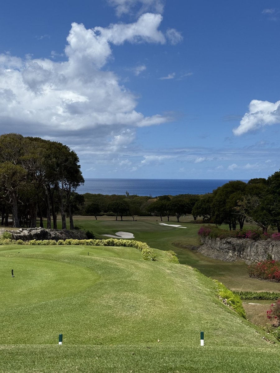 Rex Tattersall tweet media