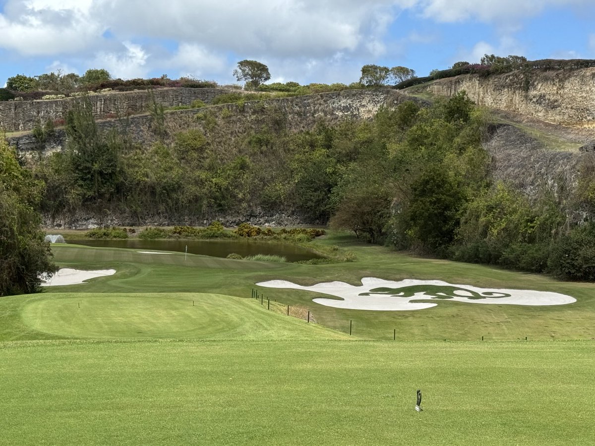 Rex Tattersall tweet media