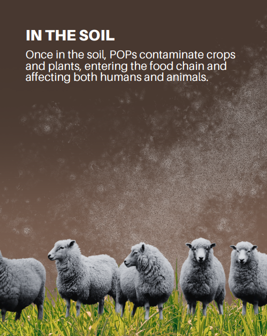 UNBiodiversity's tweet photo. Invisible, toxic… and everywhere.

Persistent organic pollutants (POPs) poison air, water, and soil—harming humans and ecosystems. No border stops these “forever chemicals“.

It’s time to #BeatPollution.

via @UNEP https://t.co/1O1ir0JaMu