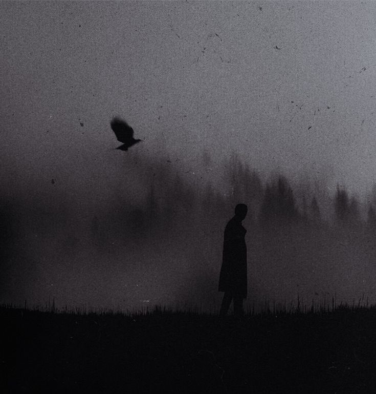 "المعاناة لا تعني أنك ستنجح في النهاية ، يمكنك ان تعاني ثم تموت!".