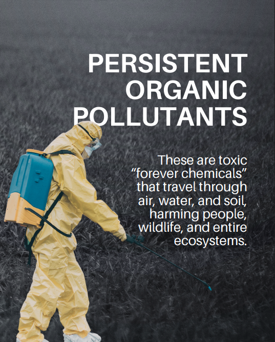 UNBiodiversity's tweet photo. Invisible, toxic… and everywhere.

Persistent organic pollutants (POPs) poison air, water, and soil—harming humans and ecosystems. No border stops these “forever chemicals“.

It’s time to #BeatPollution.

via @UNEP https://t.co/1O1ir0JaMu