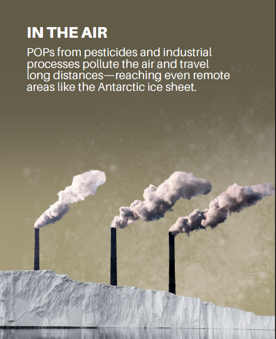 UNBiodiversity's tweet photo. Invisible, toxic… and everywhere.

Persistent organic pollutants (POPs) poison air, water, and soil—harming humans and ecosystems. No border stops these “forever chemicals“.

It’s time to #BeatPollution.

via @UNEP https://t.co/1O1ir0JaMu
