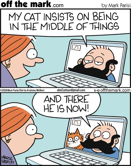 Mark Parisi 🦀 tweet media