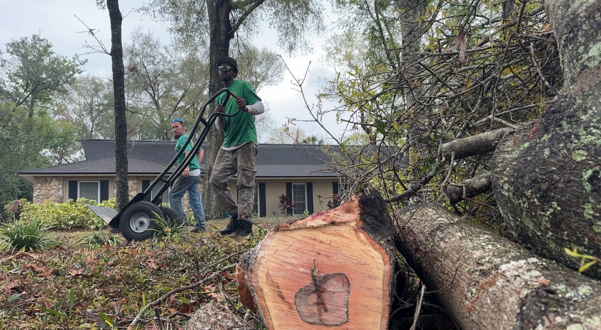 devinmartintv's tweet photo. TONIGHT ON @MyNews13 -- 15 minutes away from where an EF-2 tornado touched down in Longwood, we're hearing from residents about cleanup efforts in the Sweetwater Oaks Subdivision. 

Their story at 5:05 p.m. https://t.co/OKvCuhM6kF