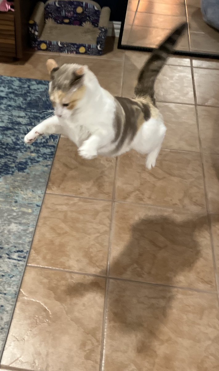 Leaping to conclusions