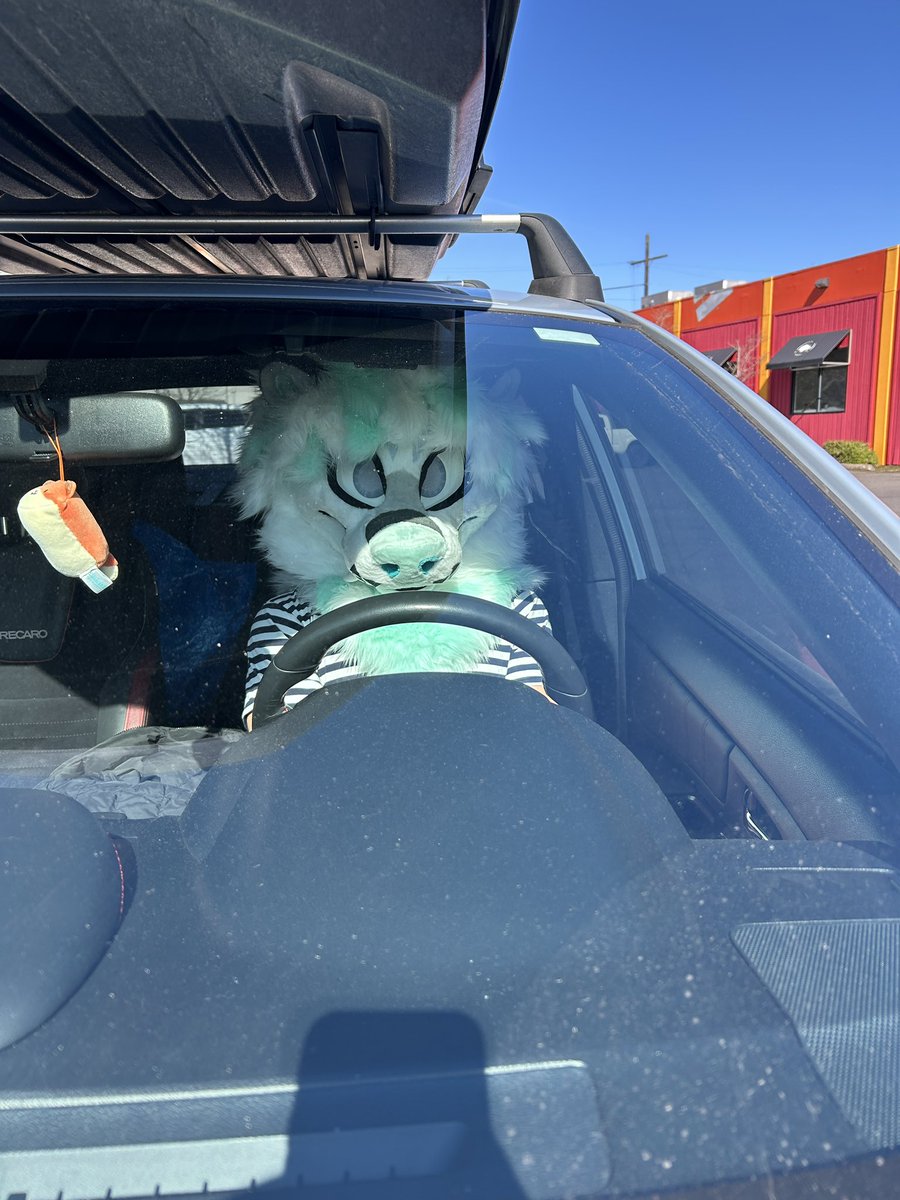 Arbor 🔜 LVFC , TFF tweet media