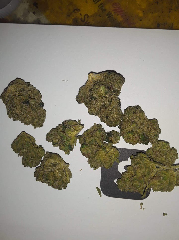 Tony24685416912's tweet photo. 36% Rae Bae by Trulieve some of the best top shelf ive ever smoked
#growmies
#organic
#Stonerfarm
#loststrains
#colorado
#organicmicrobatch
#cannabisusa
#dank
#canabisgrower
#ComplexConversations
#PaulTyson https://t.co/zQlqi8UGFd