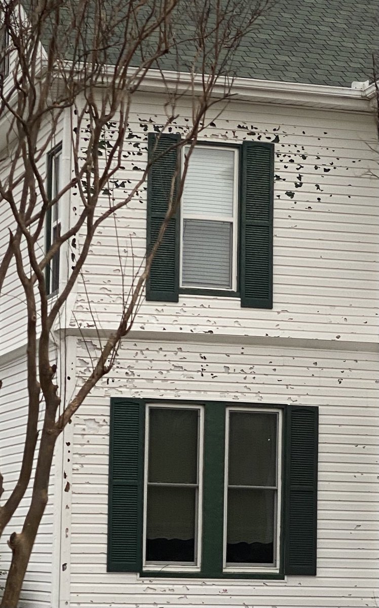 The prodigious hail from Saturday’s storm, driven by gusty winds, shattered windows and gouged small holes into wood siding in homes across Waxahachie, TX. Some houses looked as if they’d been riddled with bullets and shrapnel.