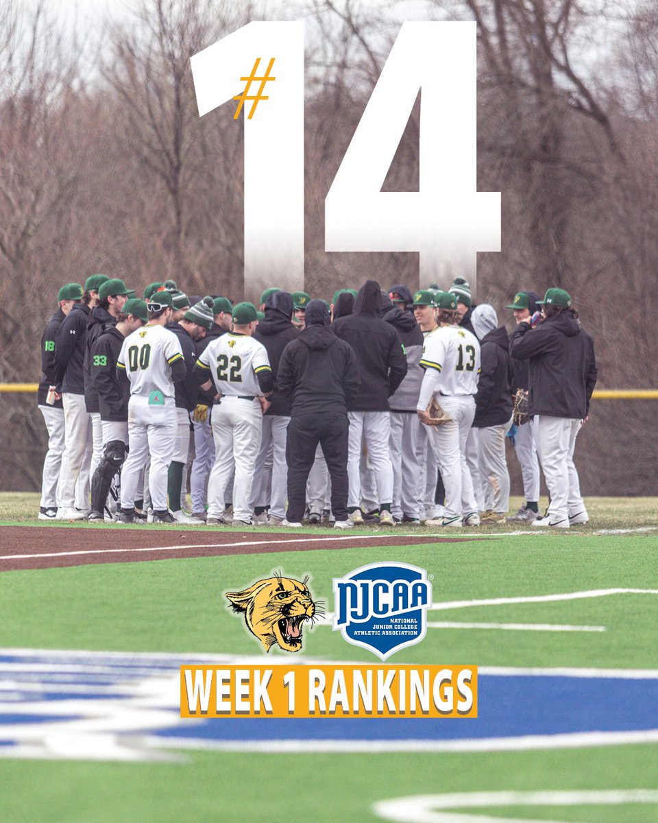 #FCC_Cougars baseball team is ranked No. 14 for Week 1 of the NJCAA DII Baseball Rankings! The Cougars are 12-2! #GoCougars

njcaa.org/sports/bsb/ran…