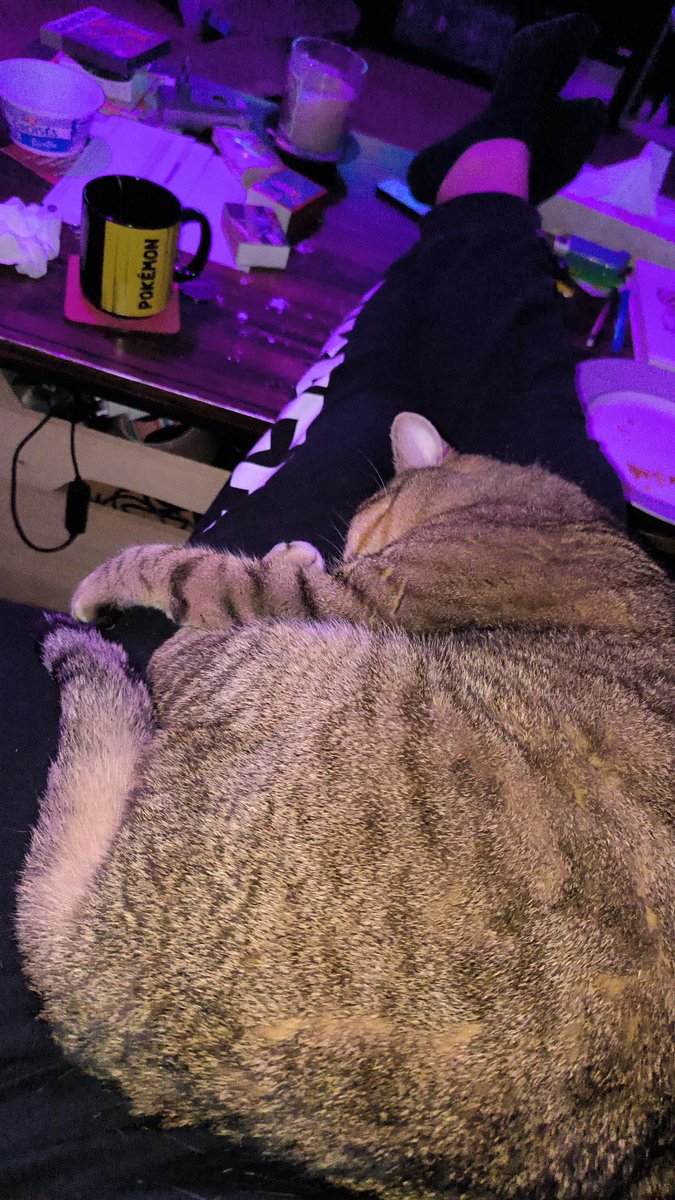 Enjoy_baconix's tweet photo. @Alxeuuu Et parfois il bave quand il dort sur les jambes https://t.co/j8W2B1AdJC