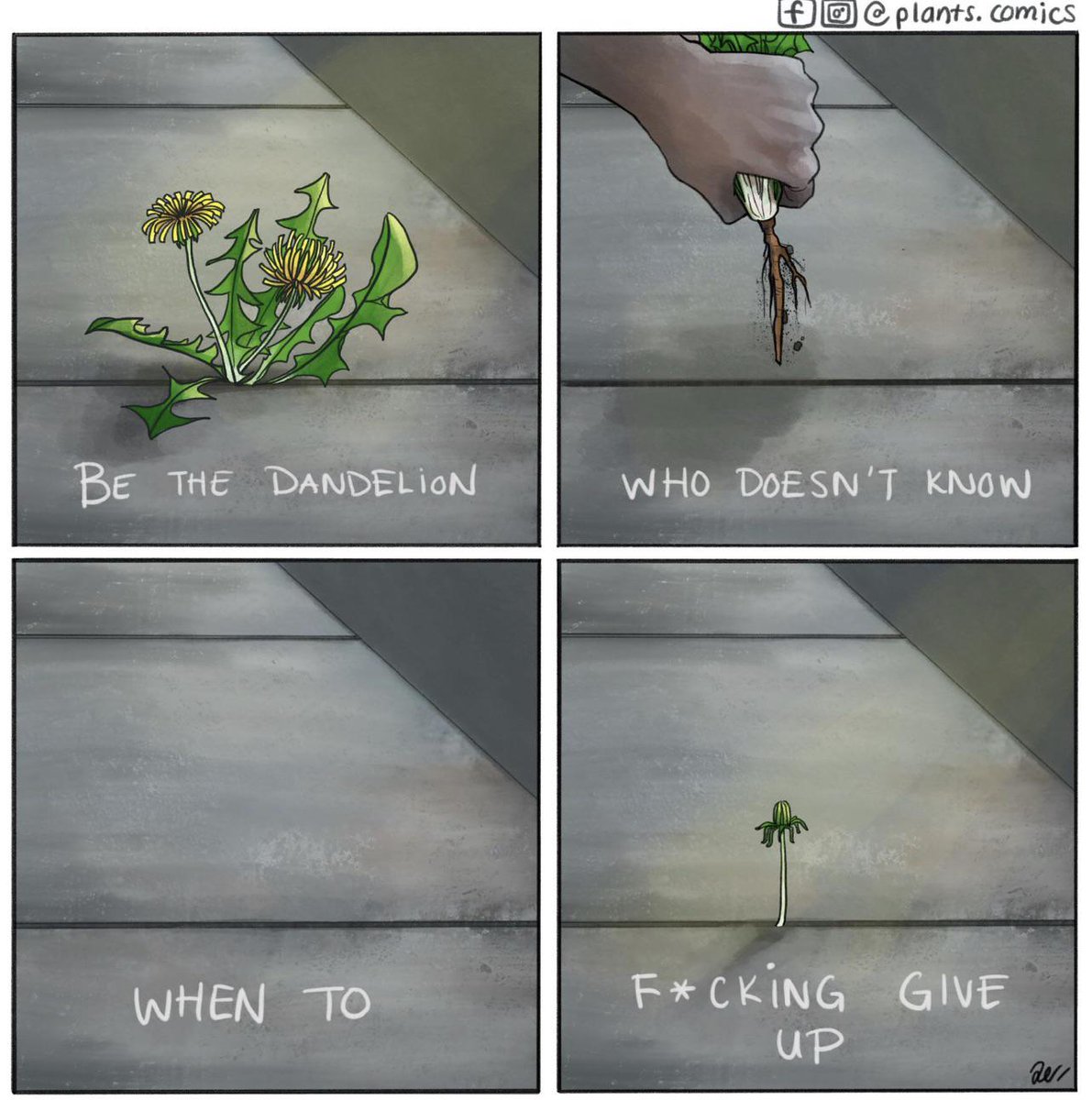 Jordan Rapp ★ tweet media