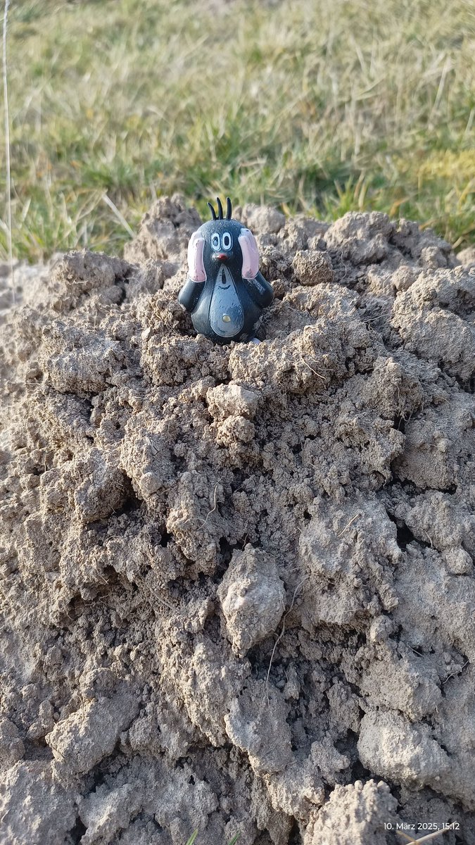 Wo ist mein rotes Cabrio!😉