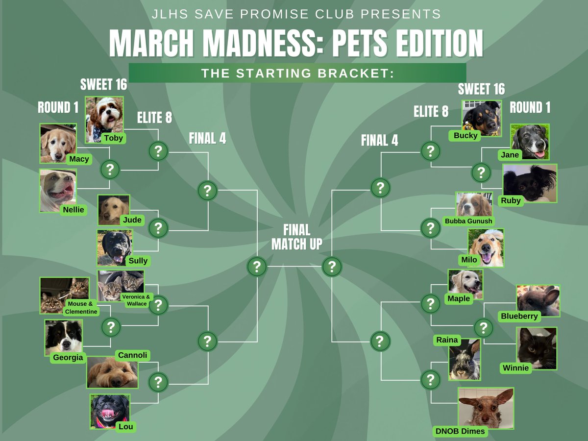 JLHS SAVE Promise Club tweet media