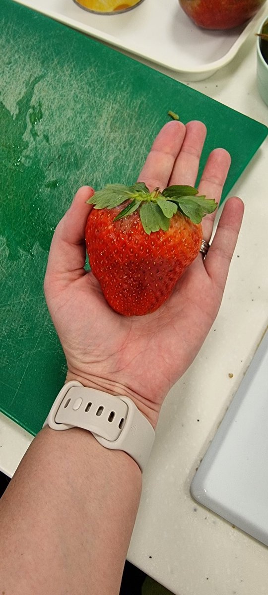 Day 10 of Ramadan complete ✅️

No picture of my dinner tonight but check out the size of this strawberry a student bought in today!!

#Ramadan2025 #FirstTimer #stillgoingstrong