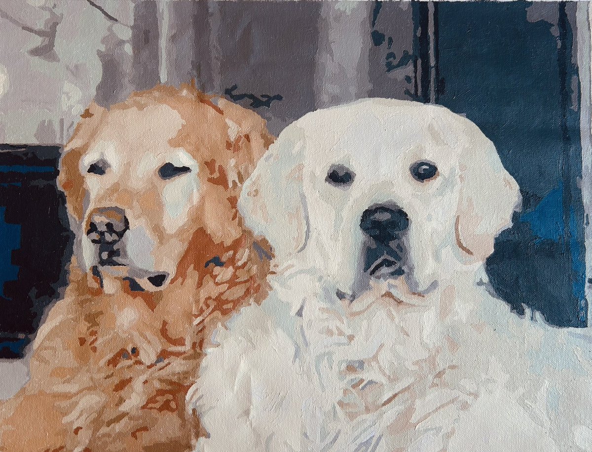 fietstwiets's tweet image. 