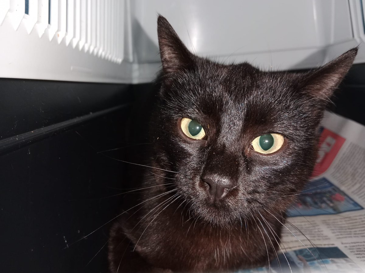 Otra pequeña Cer. Este año llevamos ya 15 Cer. Nos ayudáis a seguir?