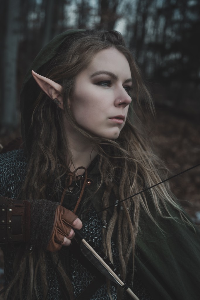 Lady LeananSidhe tweet media