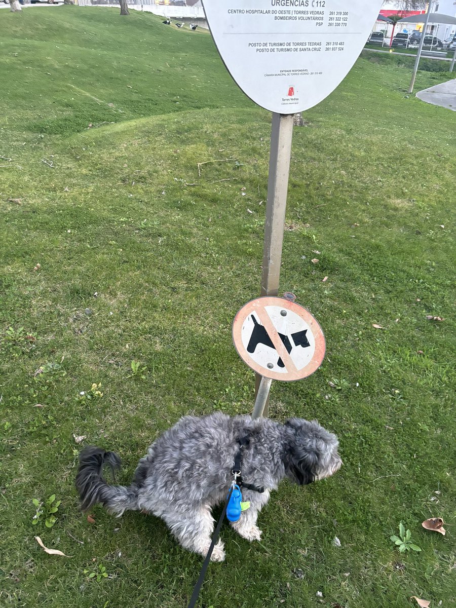 <a href="/ShouldHaveCat/">Why you should have a cat</a>