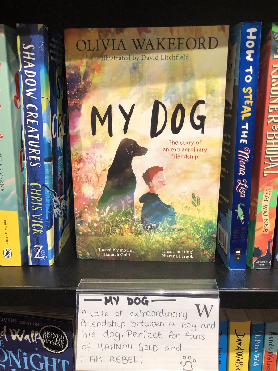 Searchlight Writing for Children Awards tweet media