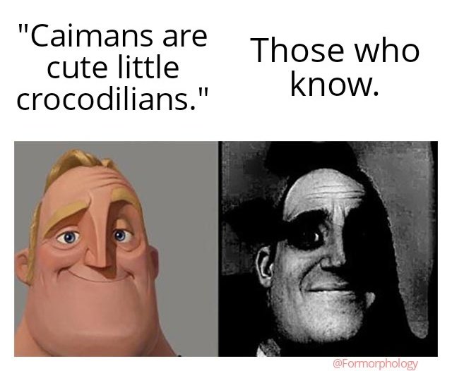 Misbranding or paid PR, you decide 🐊

(Meme not endorsed by the Black Caiman or Purussaurus)