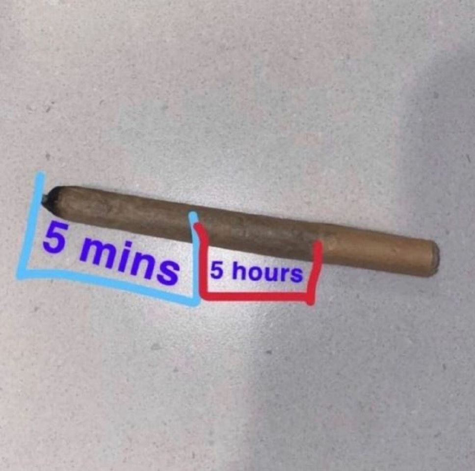 Weed Porn tweet media