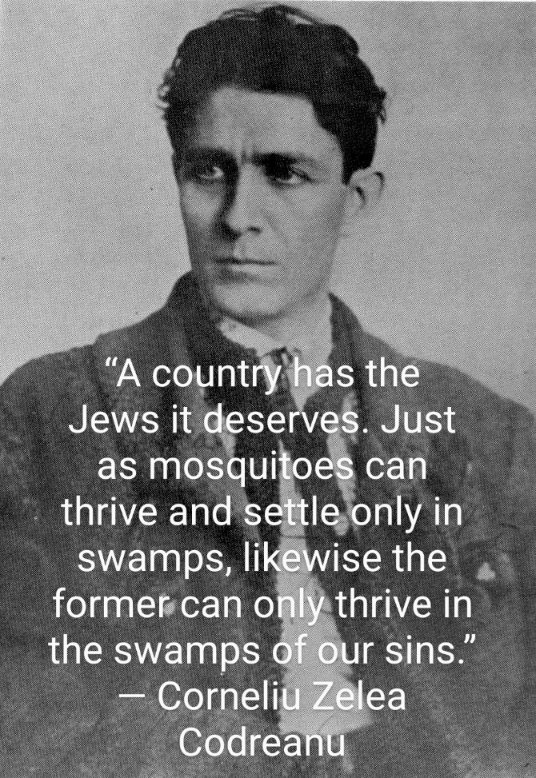 S E R V I A M tweet media