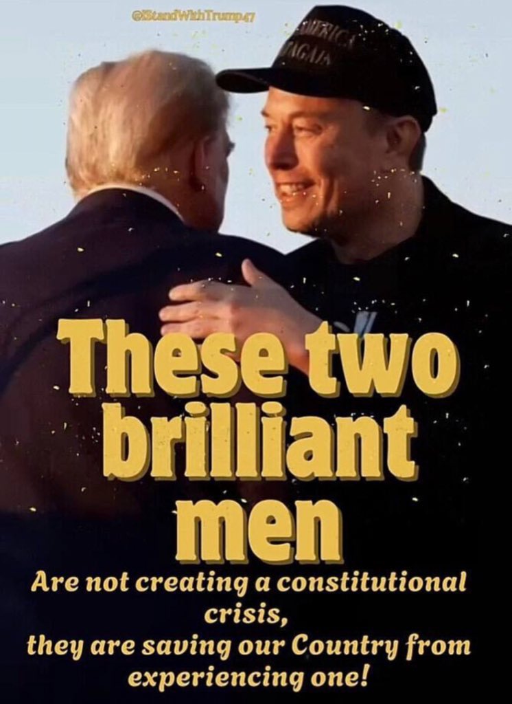 Carla Digrugilliers tweet media