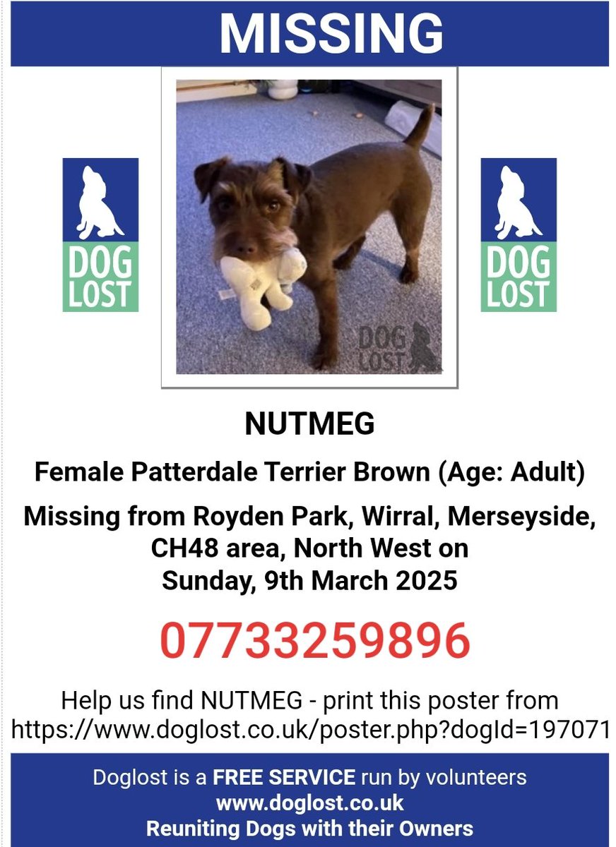 MissingPetsGB's tweet photo. 🐕 NUTMEG went #missing from Roydon Park #Wirral #Merseyside #CH48 around 9am on Sunday 9 March 2025
She microchipped and spayed, was wearing a collar and ID & has a docked tail.
Please contact asap if seen. Do not chase🙏 https://t.co/XpyTk5f6Ht