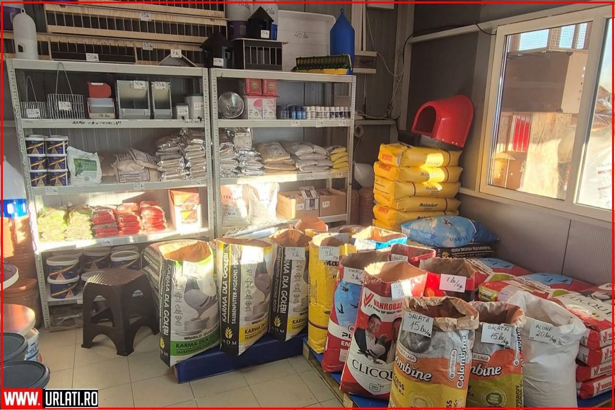 URLATI's tweet photo. 📢 Angajare: Vânzător în magazinul de cereale și furaje
🏪 Magazinul de cereale și produse columbofile, 
📍 Urlați, str. 1 Mai, nr. 9B (lângă stația ITP, intrarea dinspre Albești Paleologu), Prahova

Cu stimă,
Echipa https://t.co/IgRj4g4mqz
#URLATI
#OrasulDintreVii
#DrumulVinului https://t.co/NJf28DzZKj