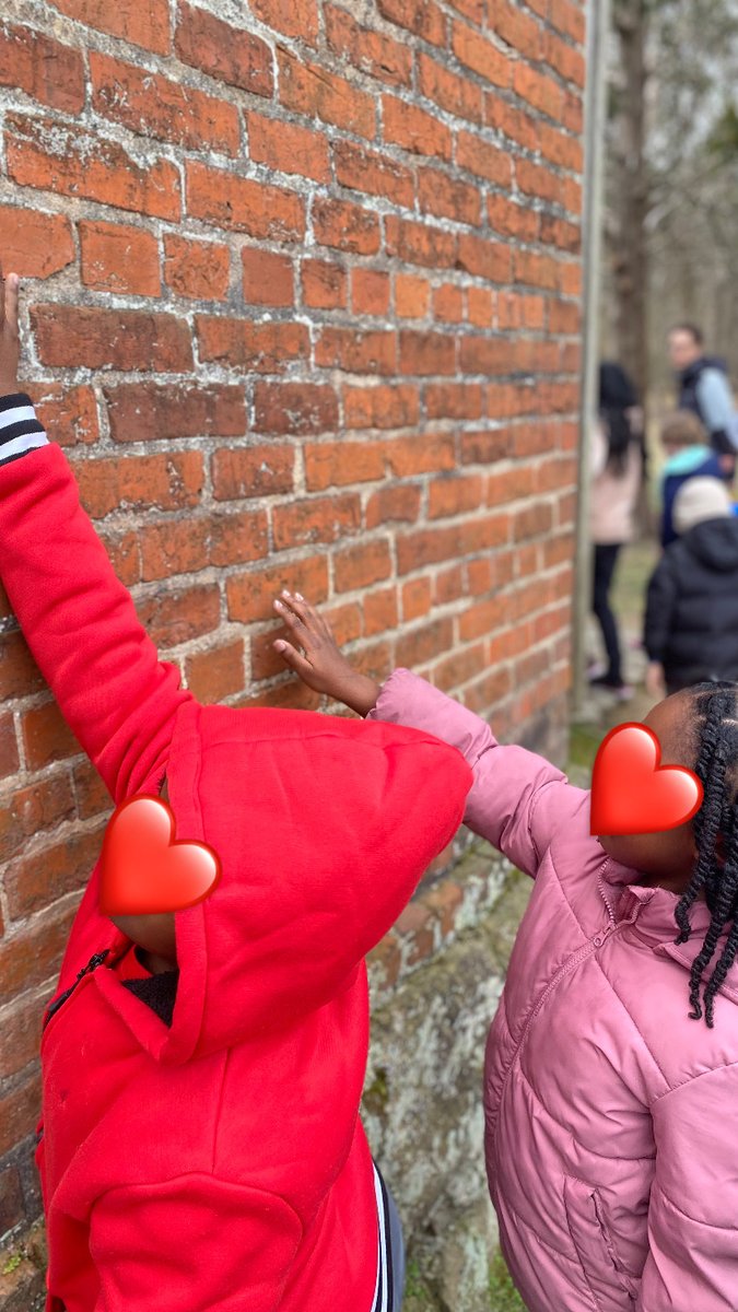 Forest View Elementary tweet media